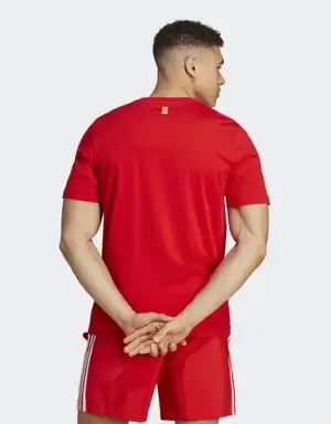 Adidas Camiseta FC Bayern DNA Graphic
