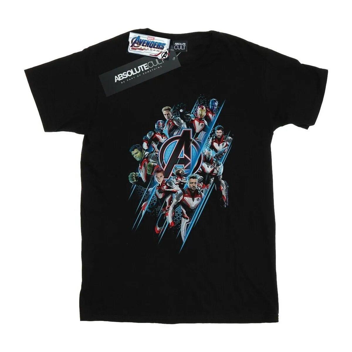 Avengers Endgame Logo Team