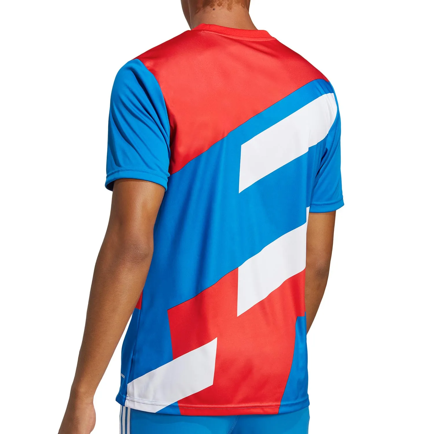CAMISETA ADIDAS BAYERN PREMATCH