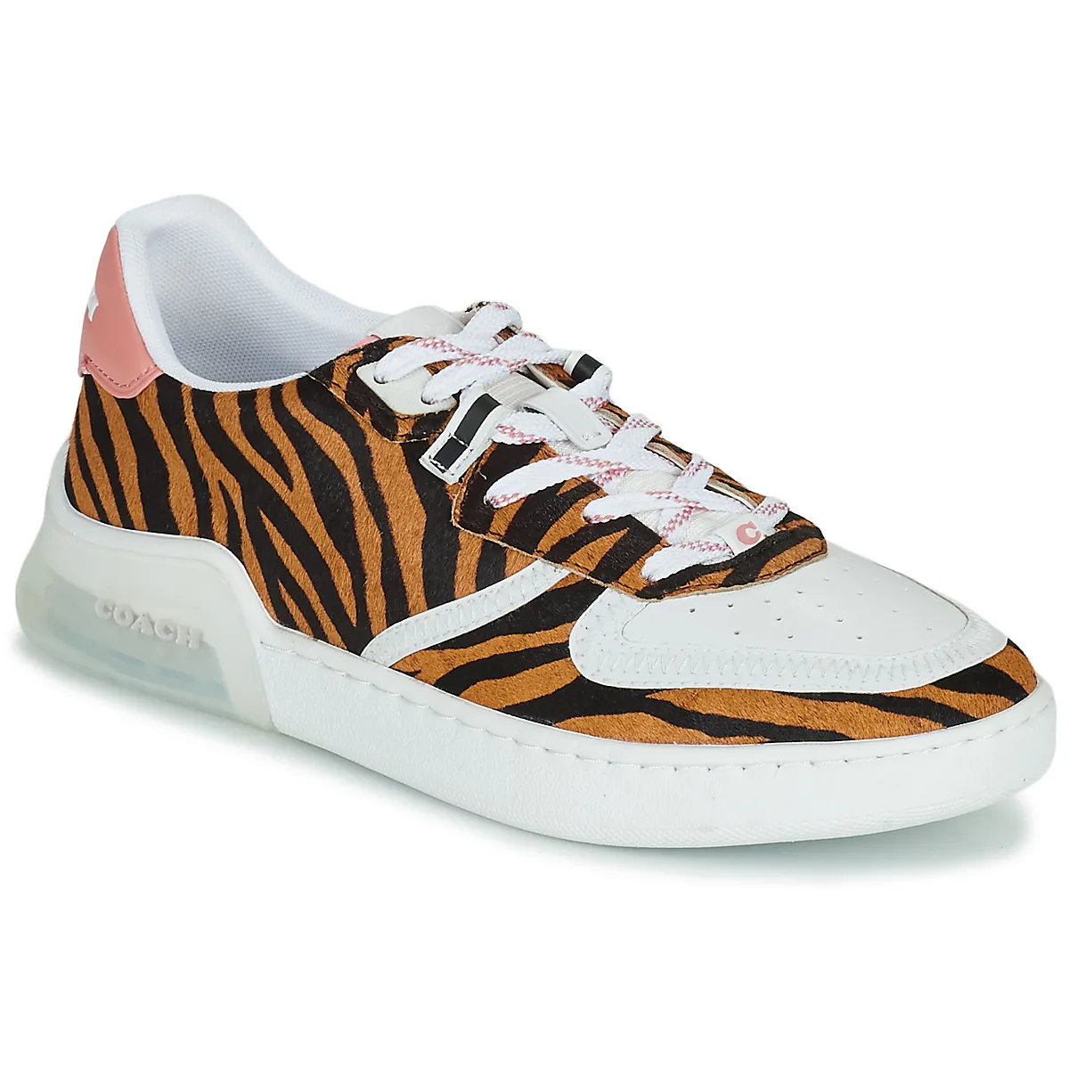 CITYSOLE COURT