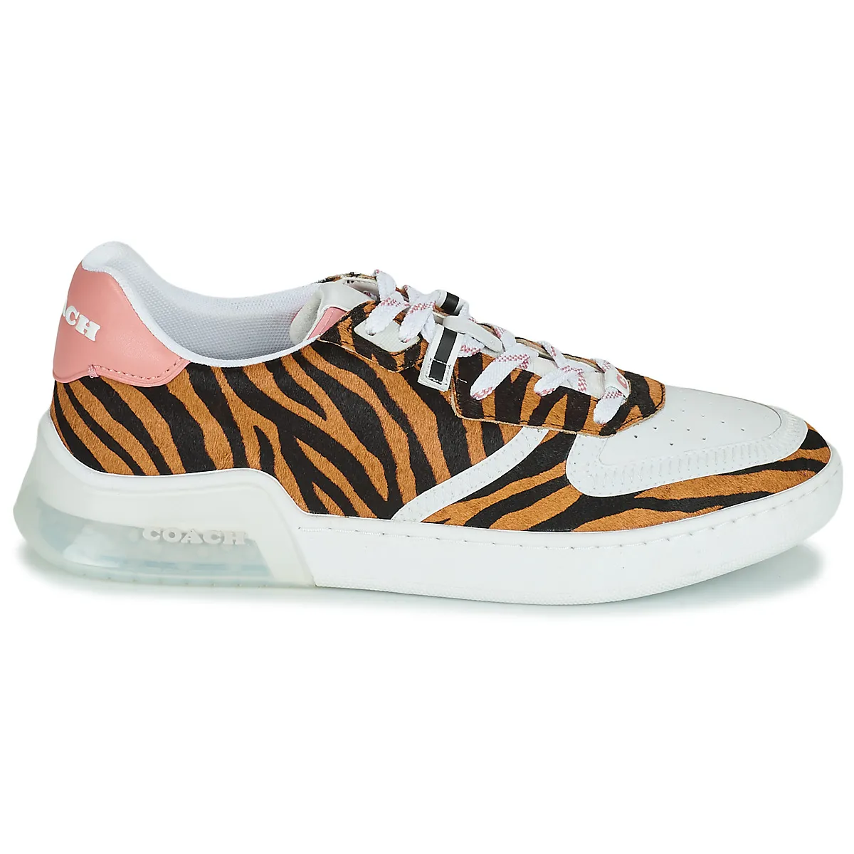 CITYSOLE COURT
