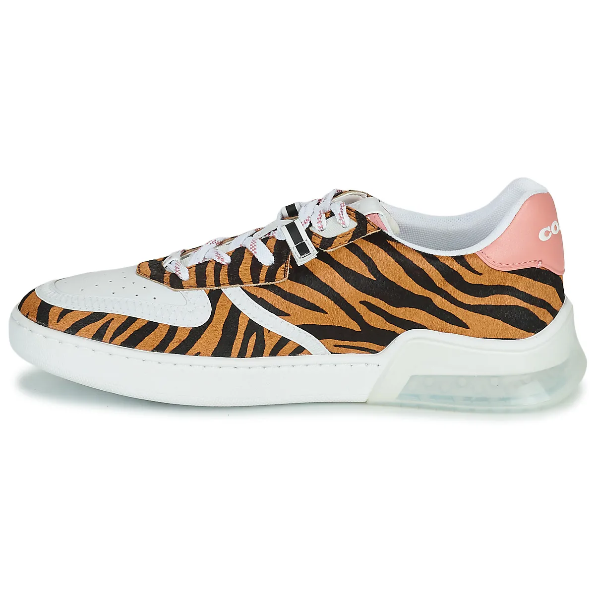 CITYSOLE COURT
