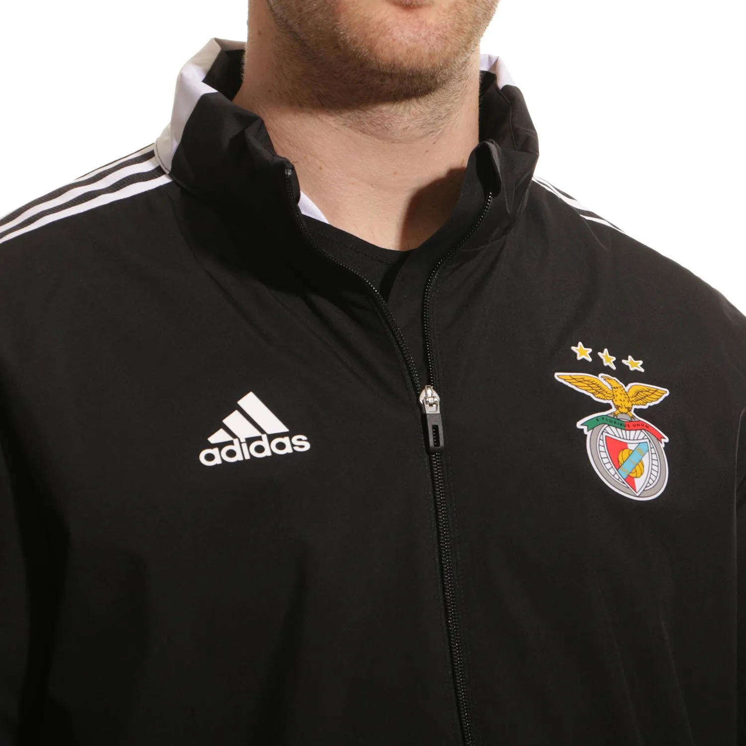 Cortavientos adidas Benfica All Weather