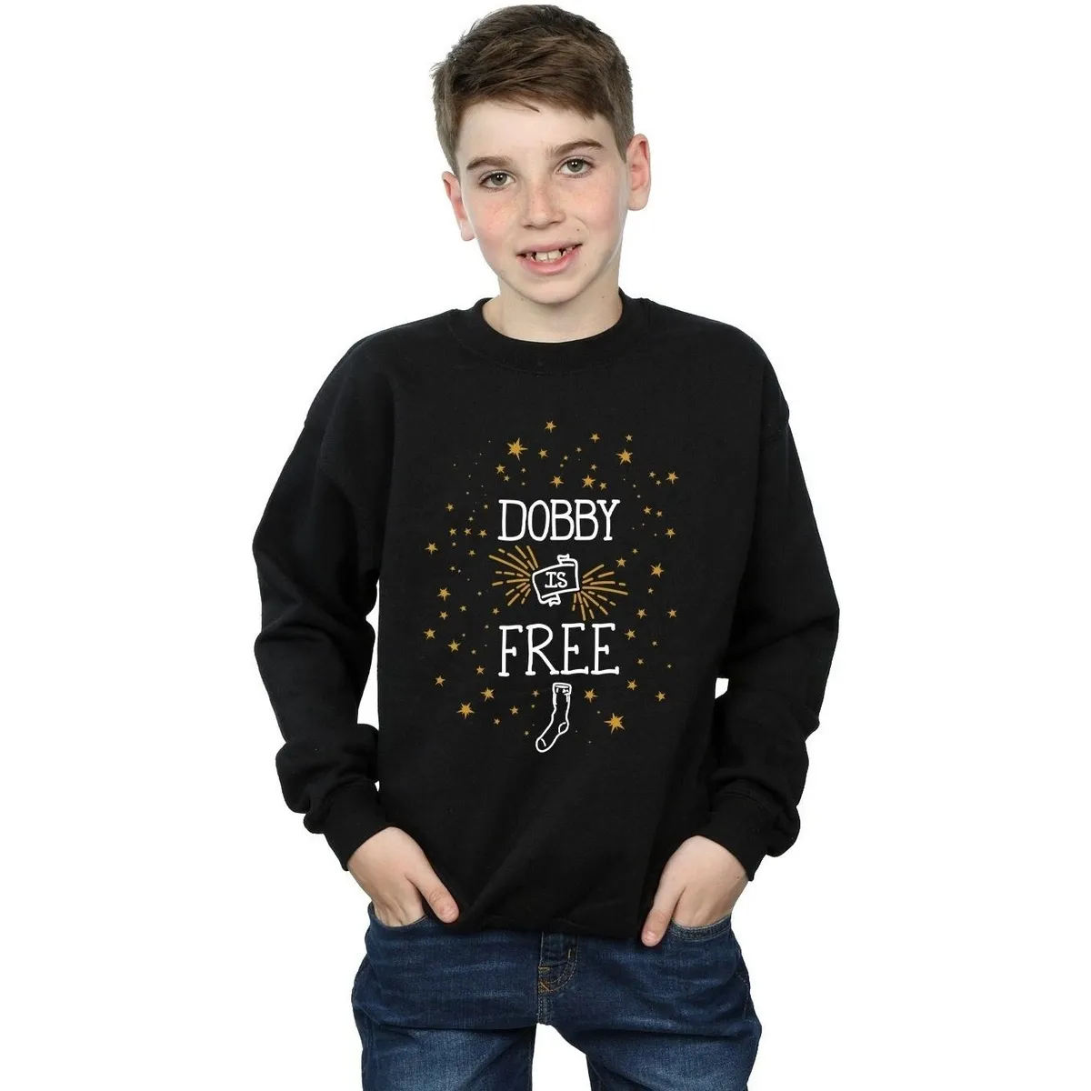 Dobby Is Free