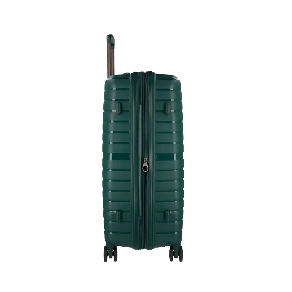 Maleta mediana Horizons Amazon Green