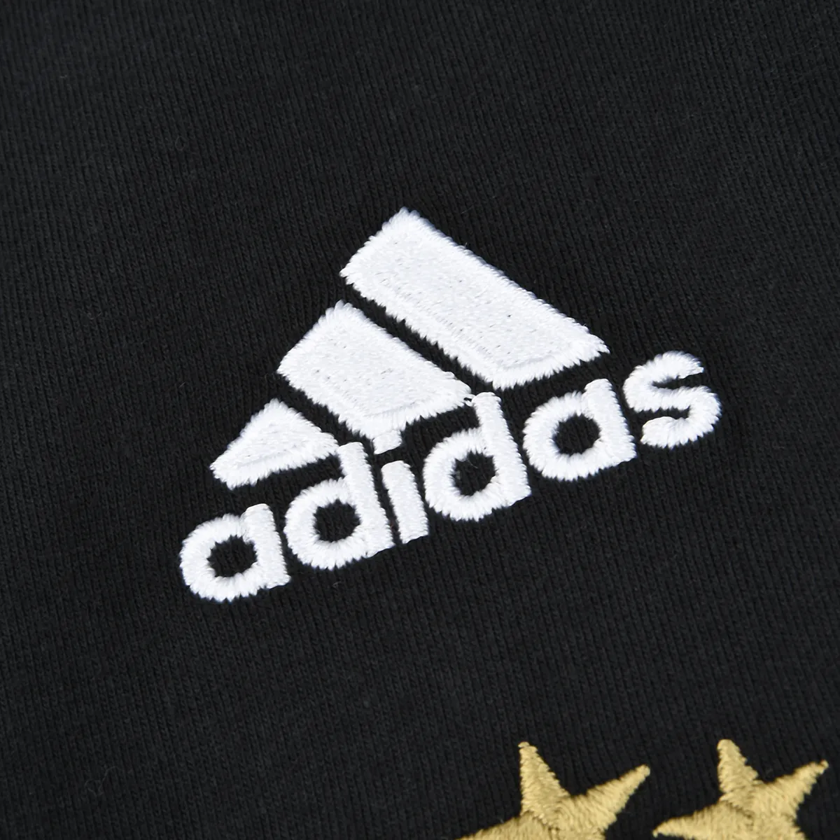 Remera adidas Argentina 2024 Mujer