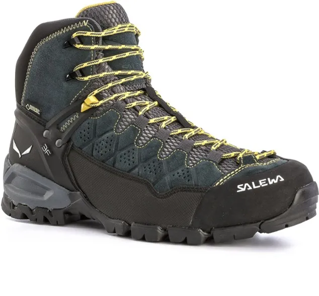 Salewa Alp Trainer Mid GTX