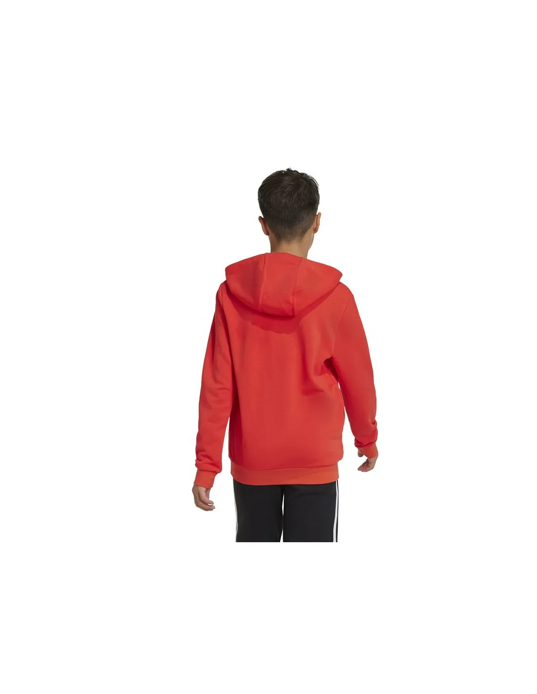Sudadera adidas Big Logo Essentials Cotton Infantil Rojo