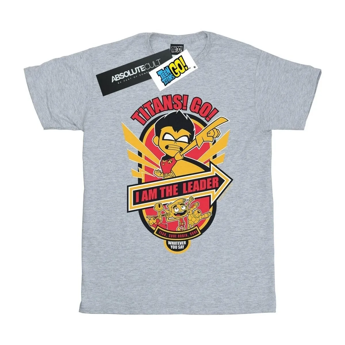 Teen Titans Go I Am The Leader