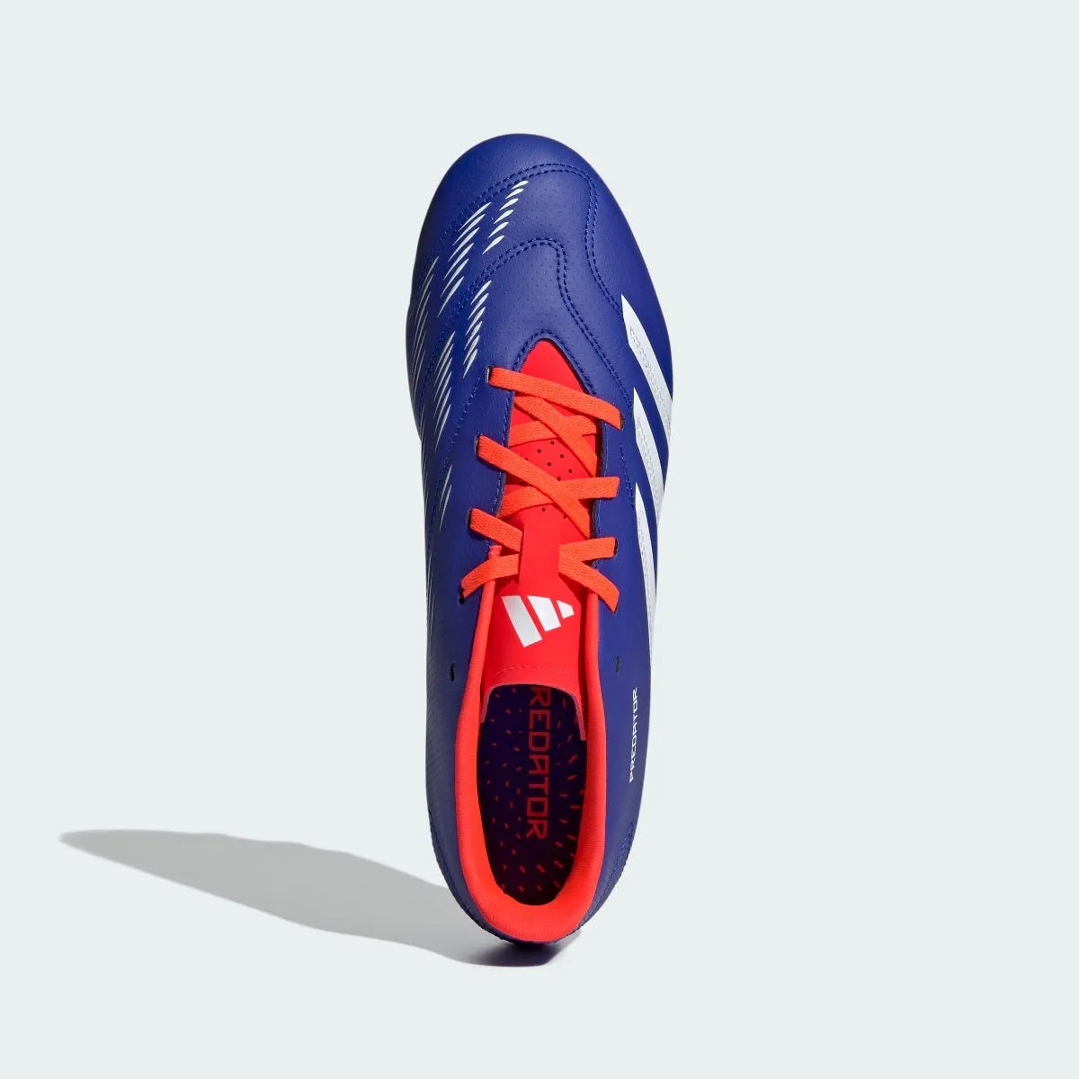 Zapatos Fútbol Hombre Adidas Predator Club Azul
