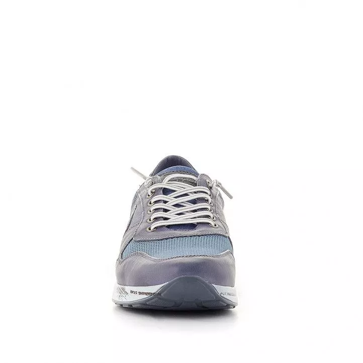 Zapatos sport Lobo azul con varios tejidos
